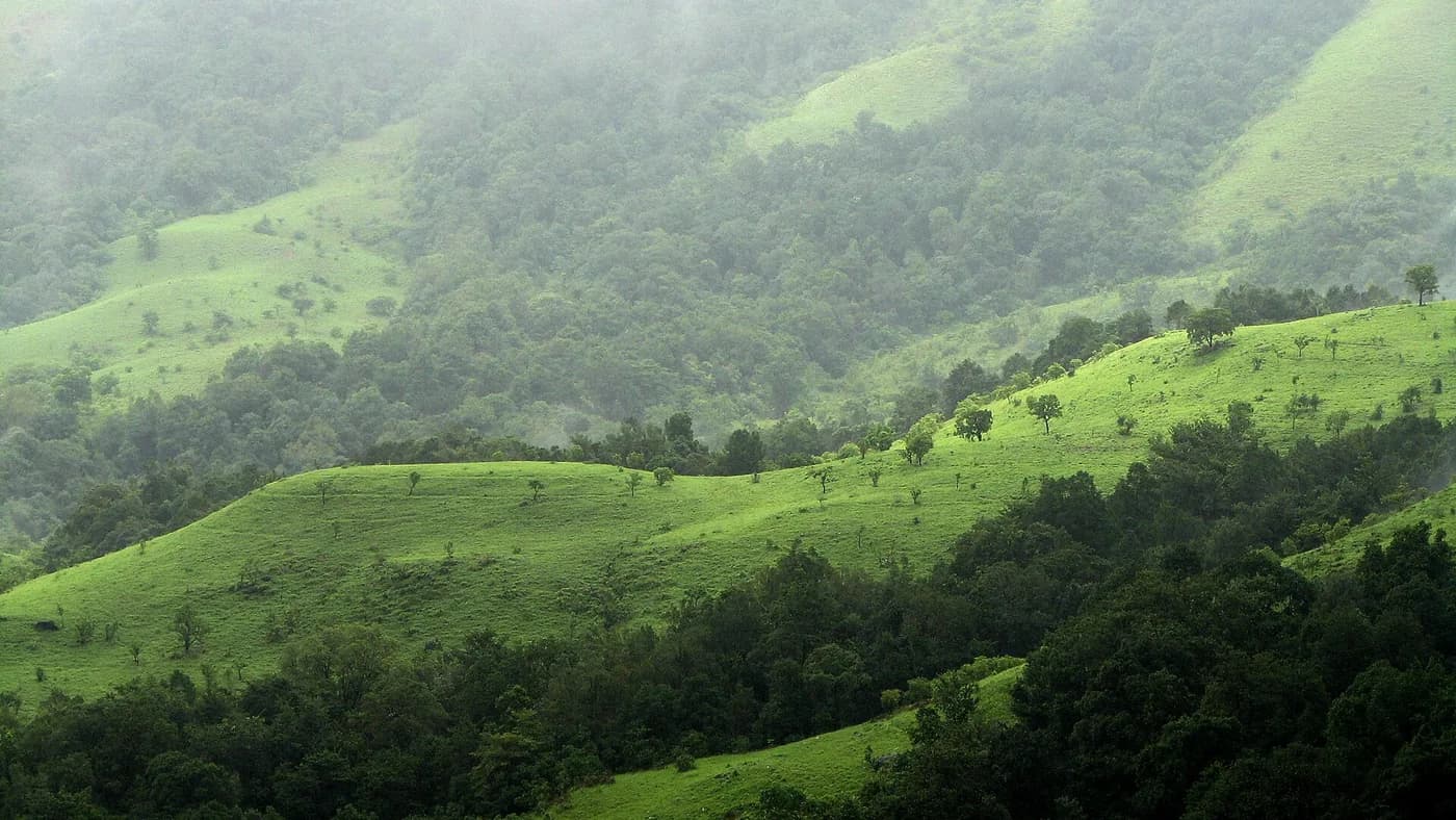 Shola grasslands and forest ridges in the Kudremukh landscape