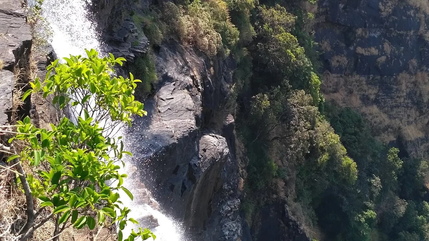 Bandaje waterfall dropping through forested Western Ghats cliffs