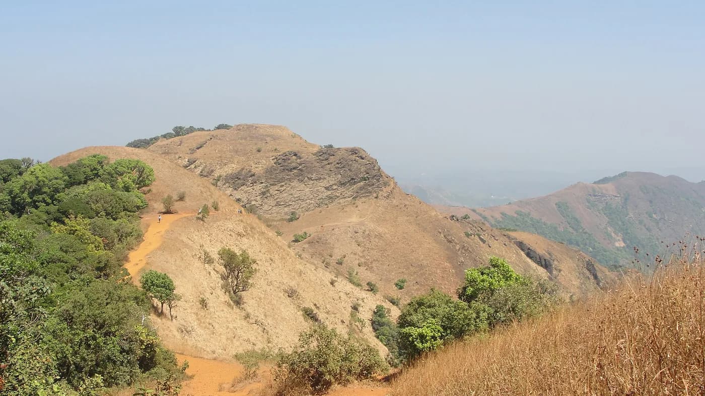 Kodachadri peak and ridgeline under clear Western Ghats light