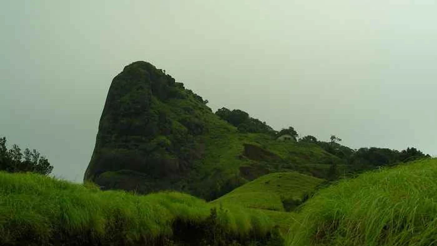 Kurinjal peak trail with green forest and mountain mist