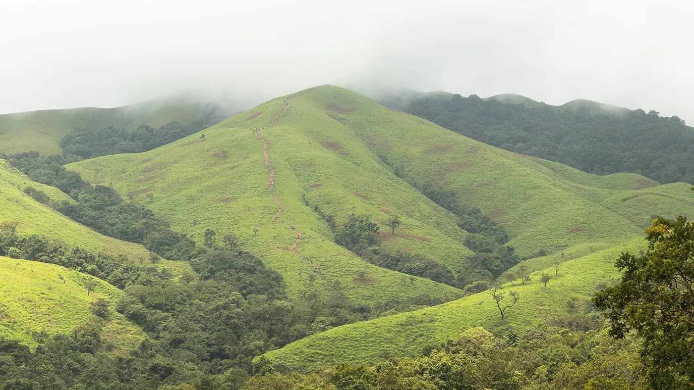 Trekking trail on Nethravathi peak with layered mountain clouds