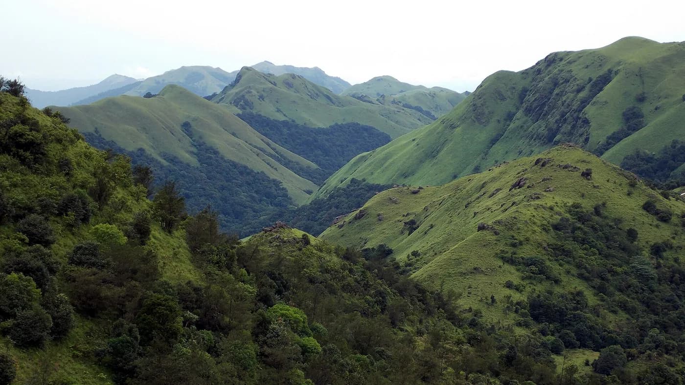 Coorg Western Ghats hills under soft monsoon haze