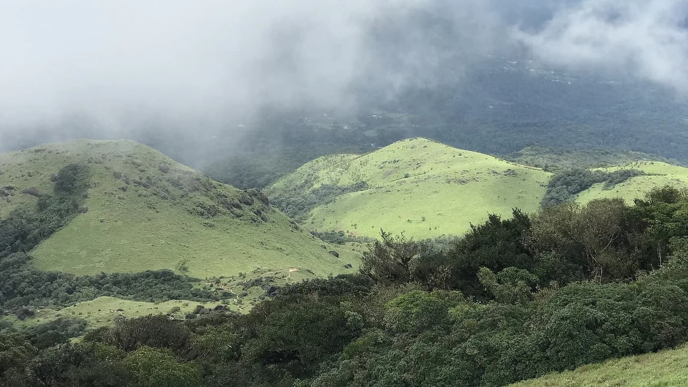View from the top of Tadiandamol trek across green ridges
